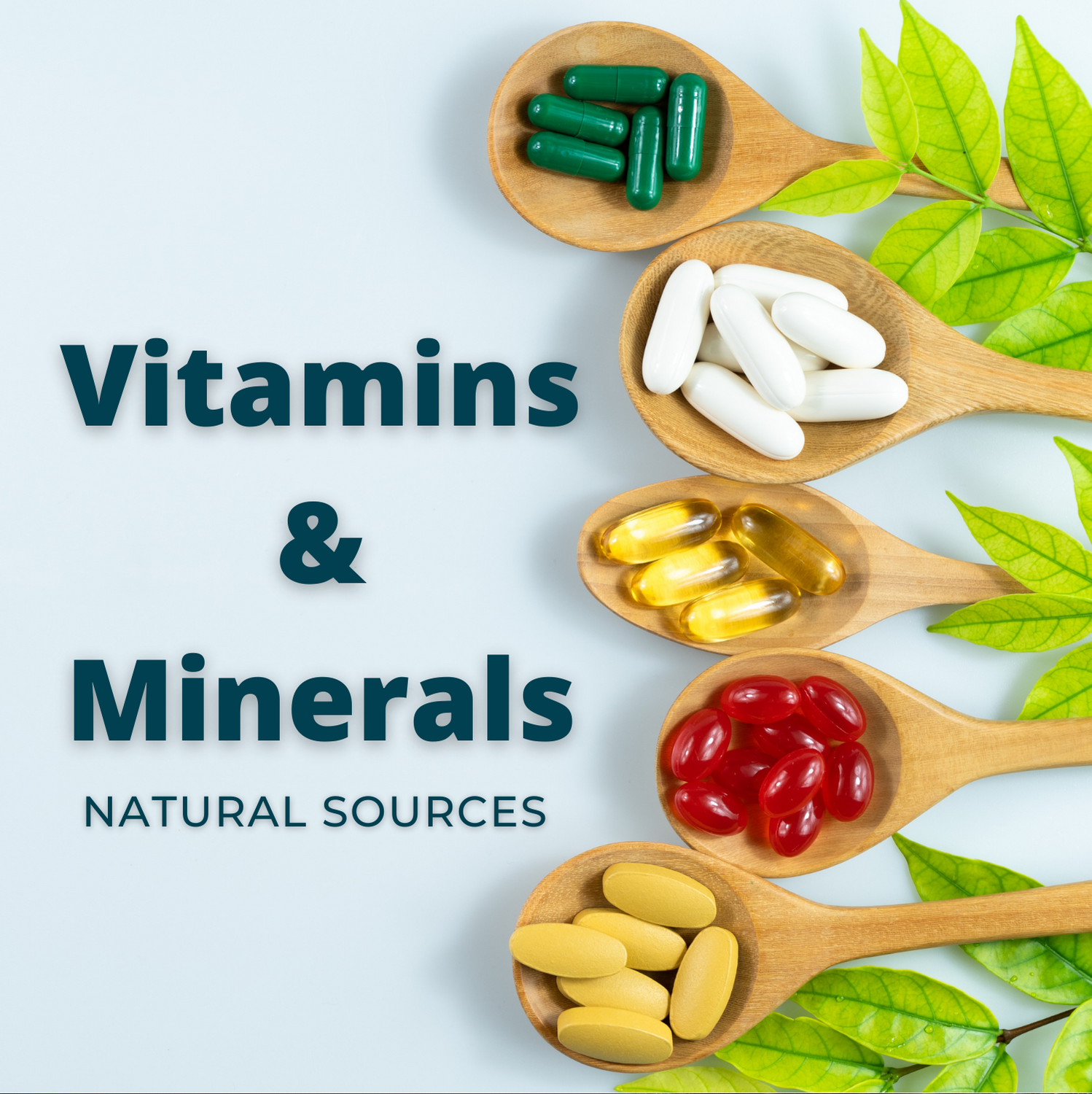 Vitamins & Minerals Collection