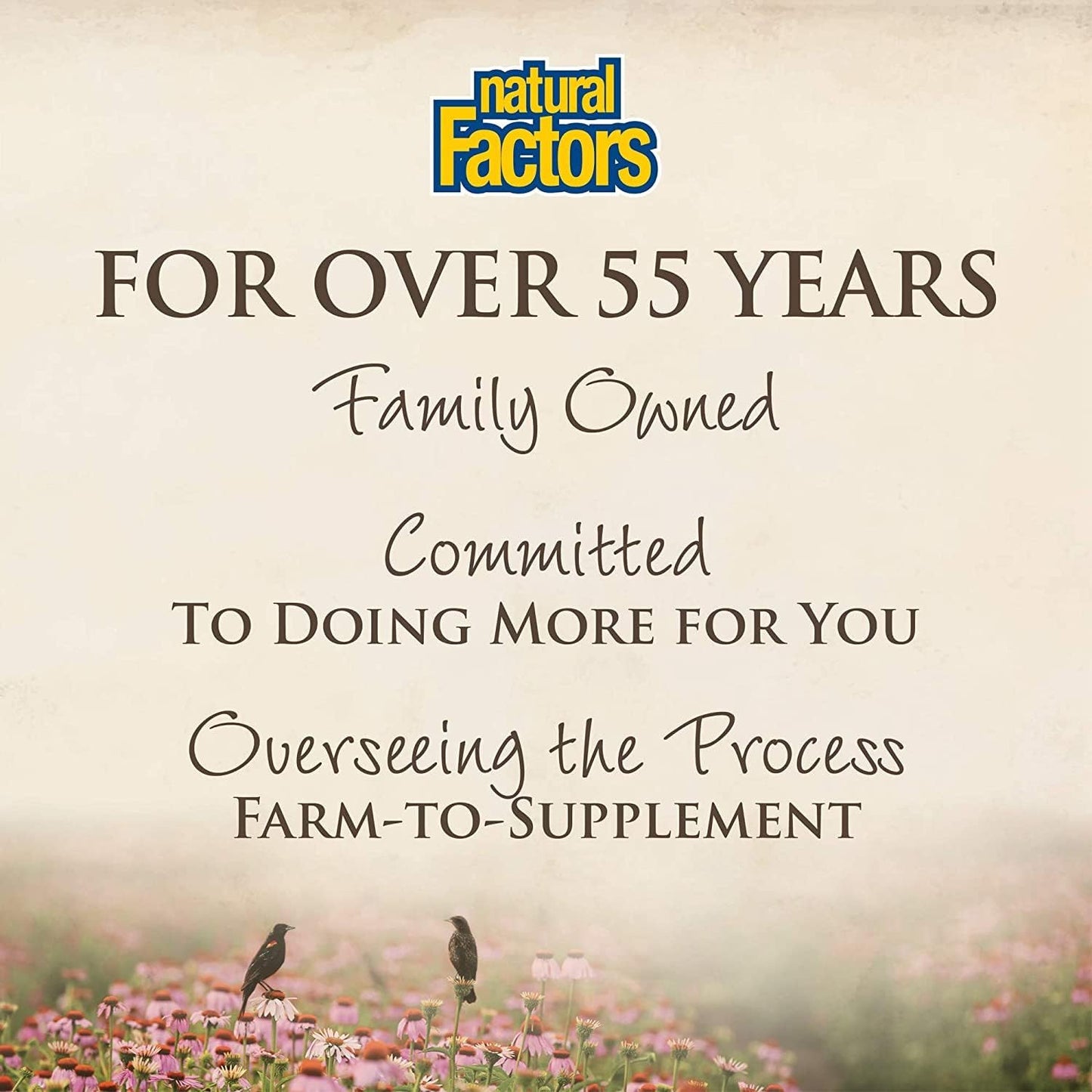 Natural Factors - Kava Kava 250mg, Stress-Relax, 60 Vegetarian Capsules - canavitam