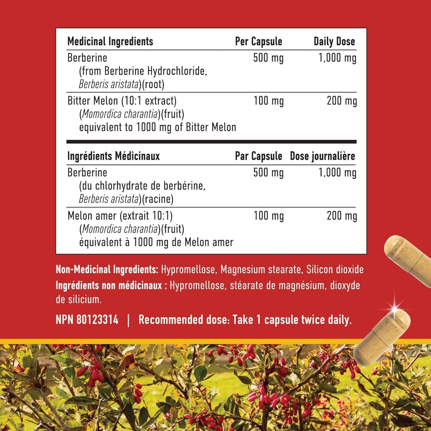 Berberine HCL Supplement – 1000mg Daily Dose – 90 Capsules (45-Day Supply) - canavitam