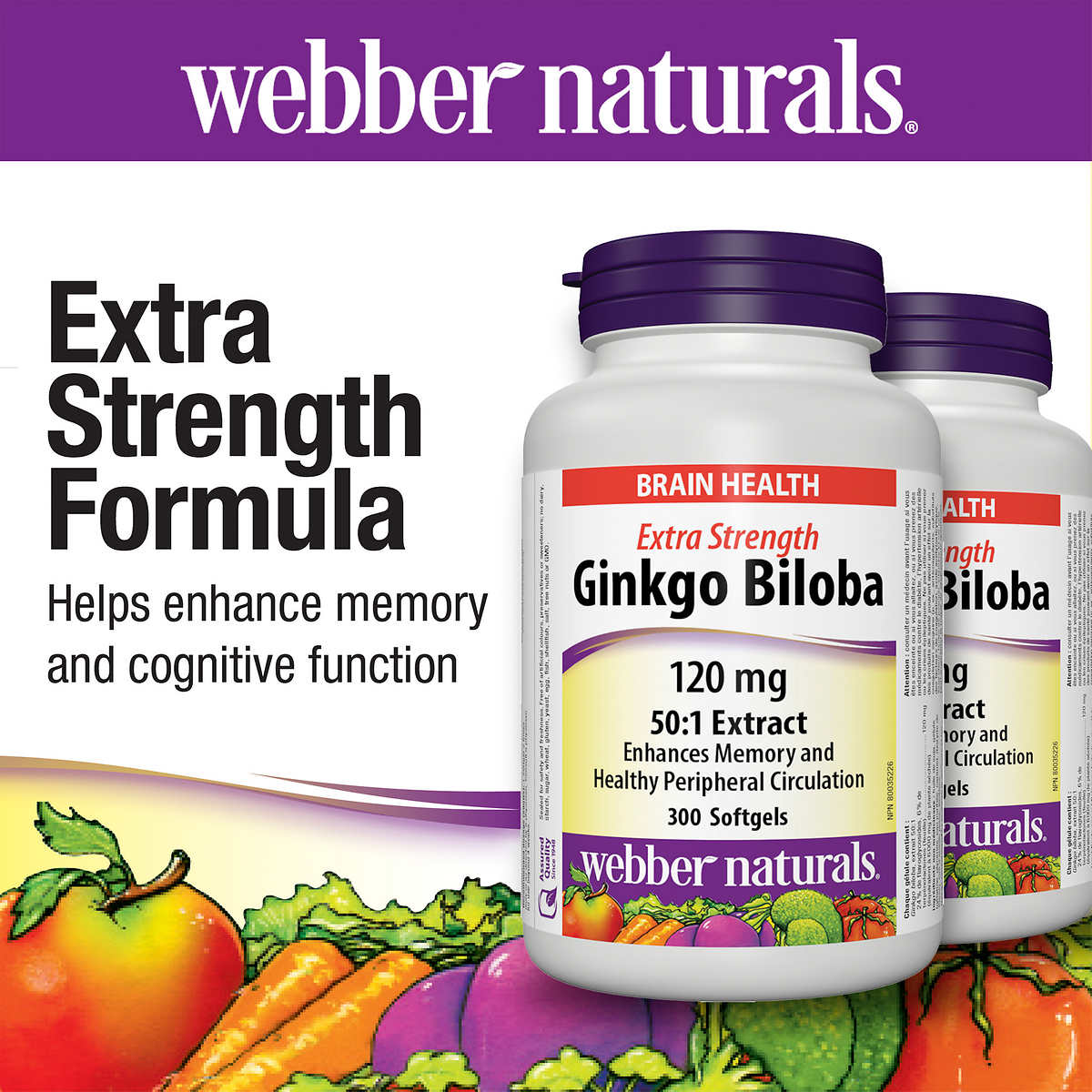 webber naturals Ginkgo Biloba 120mg  300 Softgels - canavitam