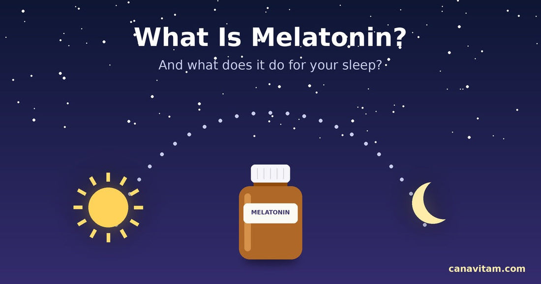 What is melatonin and what does it do: melatonin and the day-night sleep cycle
