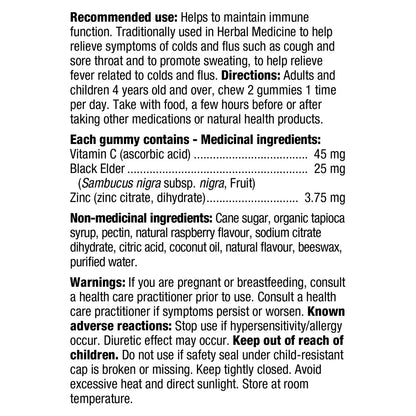 Nature’s Way Sambucus Elderberry - 120 gummies - canavitam