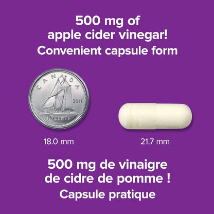 Webber Naturals Apple Cider Vinegar 500 mg , 240 Capsules, Sugar Free - canavitam