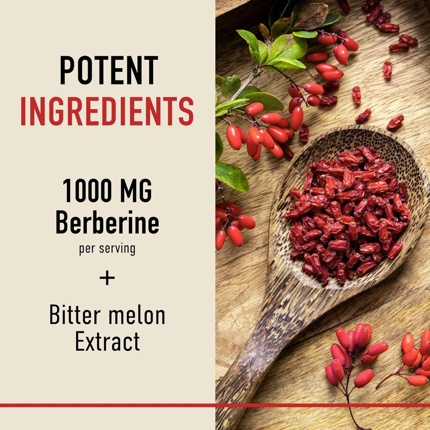 Berberine HCL Supplement – 1000mg Daily Dose – 90 Capsules (45-Day Supply) - canavitam