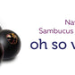 Nature’s Way Sambucus Elderberry - 60 gummies - canavitam
