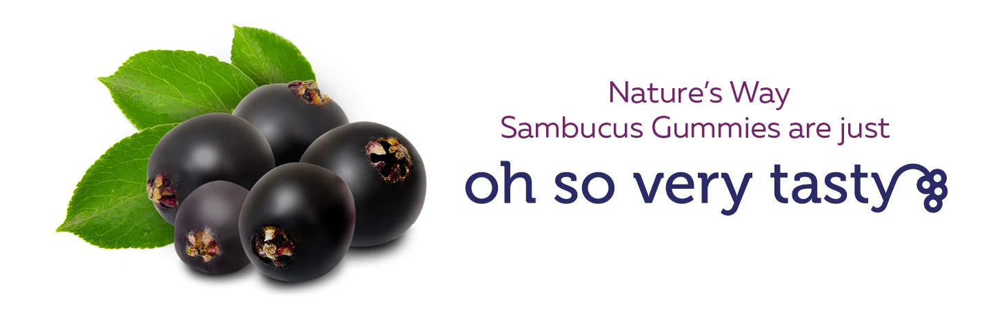 Nature’s Way Sambucus Elderberry - 60 gummies - canavitam